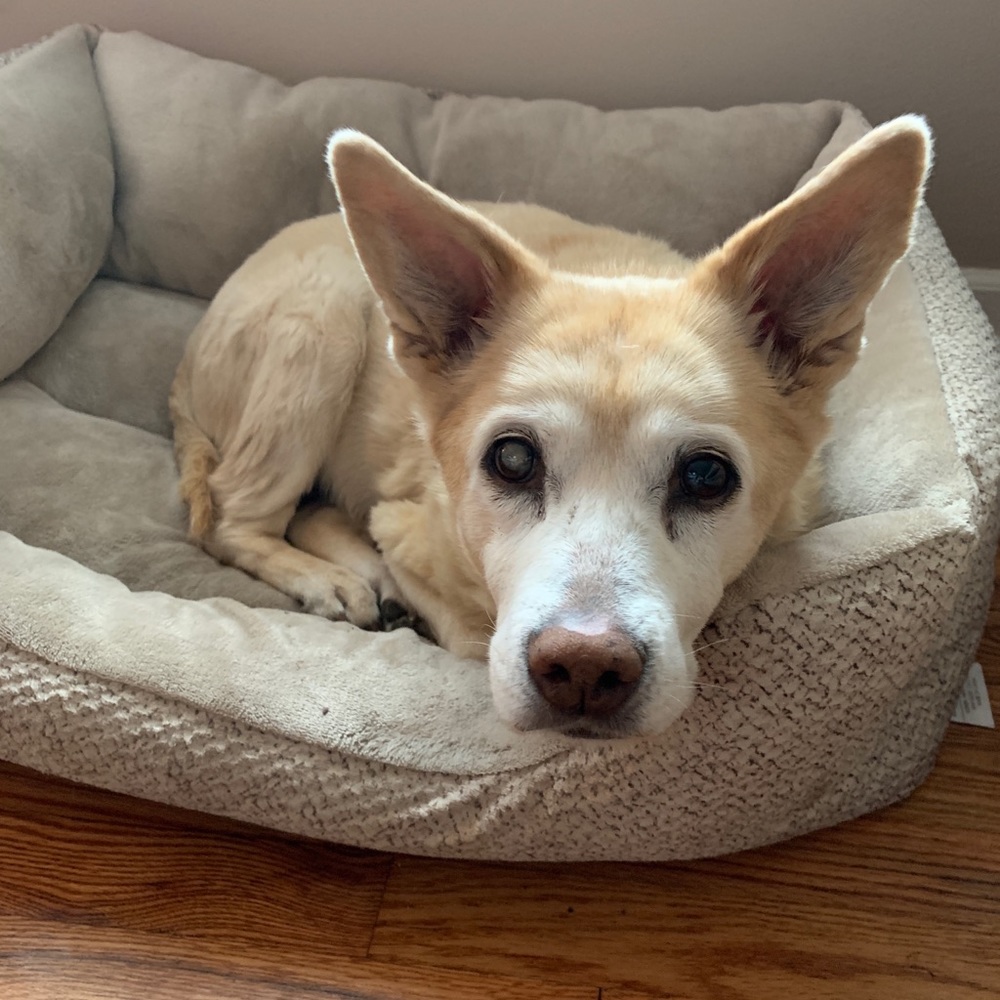 Meet your Posher, Katy